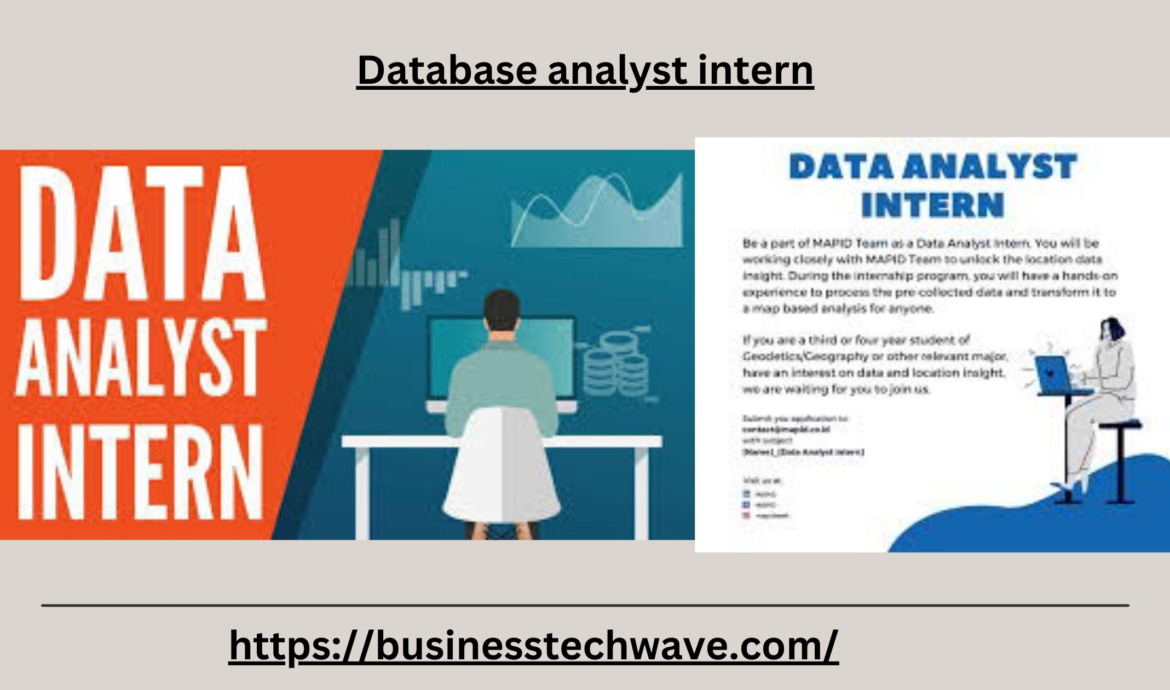 database analyst intern